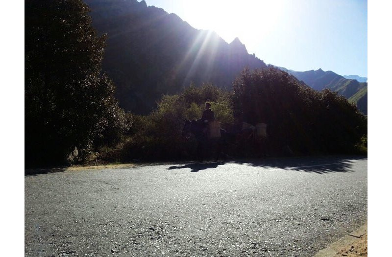 风云单车昌黎车友的漫漫拉萨路-第47天（川藏23）